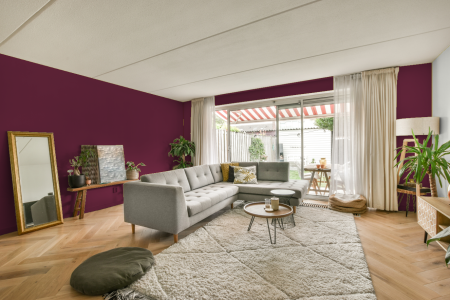 moderne living in de kleur S 4050-r20b