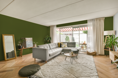 moderne living in de kleur S 4550-g40y