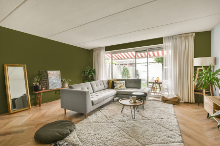 moderne living in de kleur S 5040-g60y