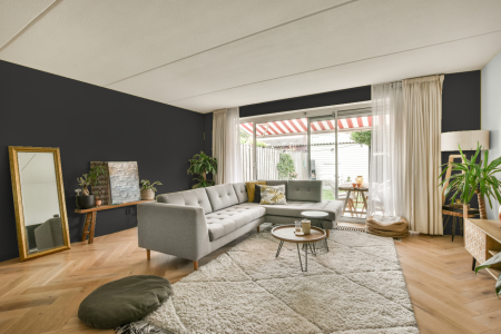 moderne living in de kleur S 8000-n