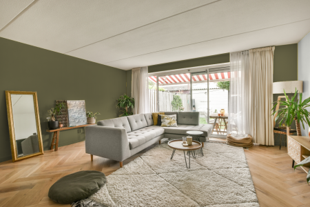 moderne living in de kleur Ral 100 50 20