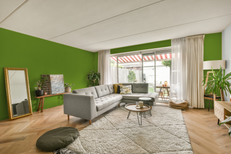 moderne living in de kleur Ral 120 60 60