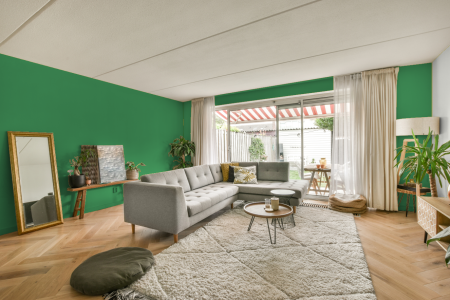 moderne living in de kleur Ral 150 60 50