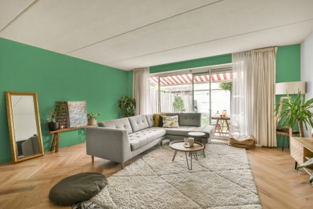 moderne living in de kleur Ral 150 70 40