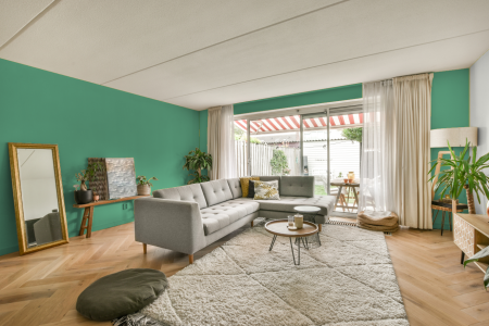 moderne living in de kleur Ral 160 70 35