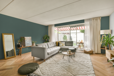 moderne living in de kleur Ral 170 50 10