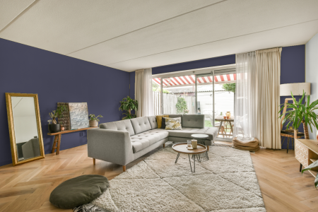 moderne living in de kleur Ral 290 40 15