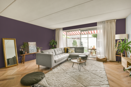 moderne living in de kleur Ral 340 40 10