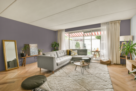 moderne living in de kleur Ral 360 60 05