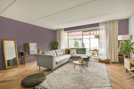 moderne living in de kleur Ral 360 60 10