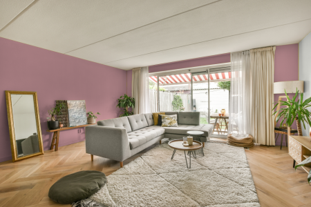 moderne living in de kleur Ral 3015