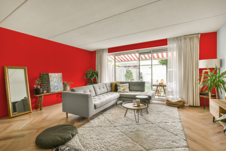 moderne living in de kleur Ral 3026