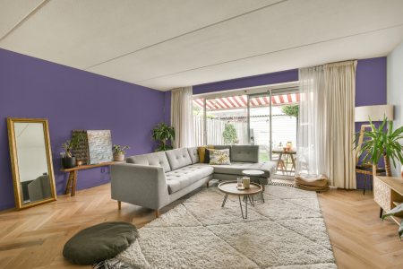 moderne living in de kleur Ral 4011