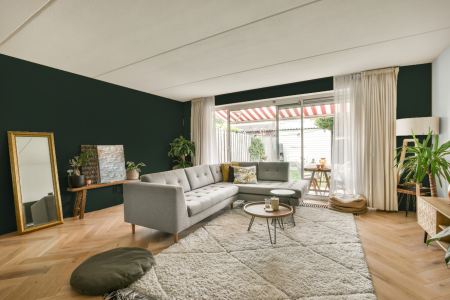 moderne living in de kleur Ral 6009