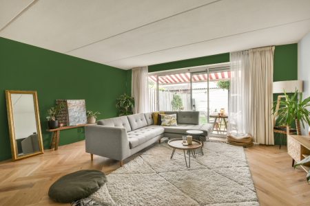 moderne living in de kleur Ral 6010