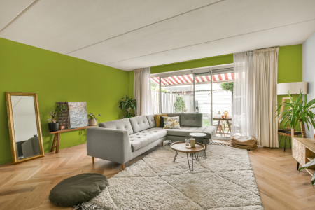 moderne living in de kleur H2.55.65