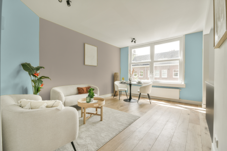 apartement met de kleur 2525 op de muren