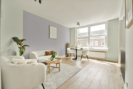 apartement met de kleur 2555 op de muren