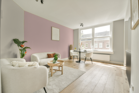 apartement met de kleur 2585 op de muren