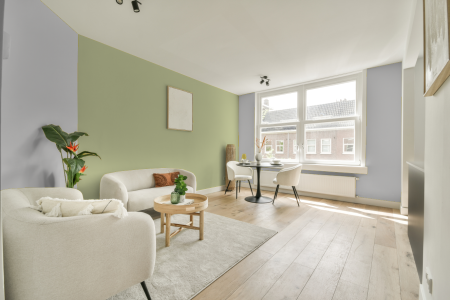 apartement met de kleur 3010 op de muren