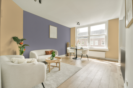 apartement met de kleur 3050 op de muren