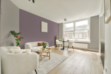 apartement met de kleur 3085 op de muren