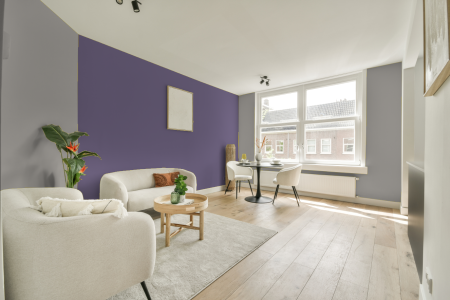 apartement met de kleur 3505 op de muren