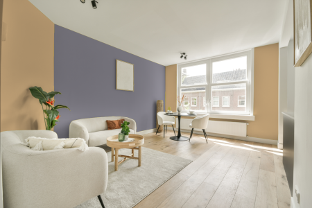 apartement met de kleur 3550 op de muren