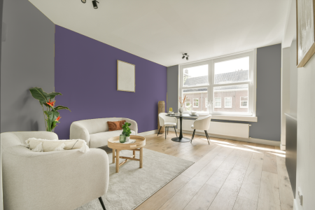 apartement met de kleur 4005 op de muren