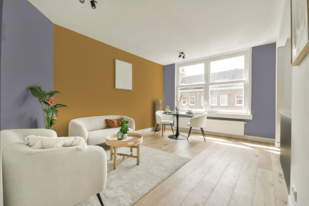 apartement met de kleur 450 op de muren