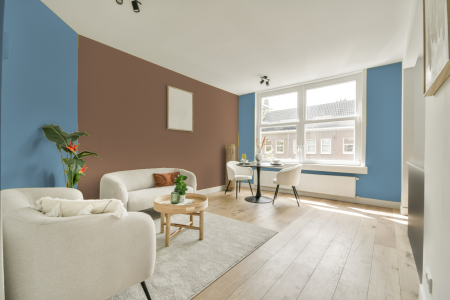 apartement met de kleur 4505 op de muren