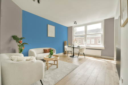 apartement met de kleur 4515 op de muren