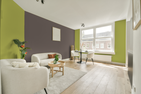 apartement met de kleur 4525 op de muren