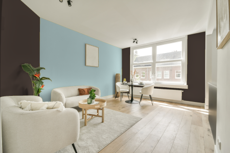 apartement met de kleur 5050 op de muren