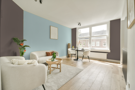 apartement met de kleur 6015 op de muren