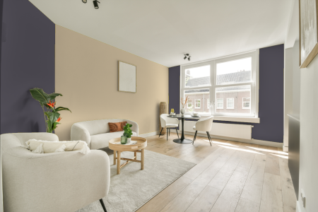 apartement met de kleur 6040 op de muren