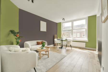 apartement met de kleur 6055 op de muren