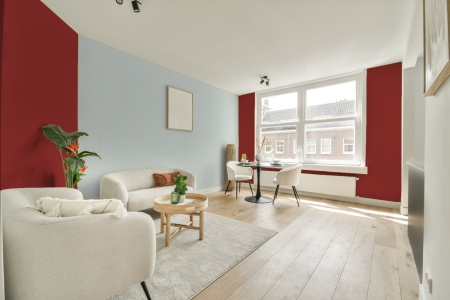 apartement met de kleur 6545 op de muren