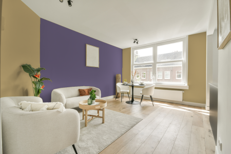 apartement met de kleur 7075 op de muren