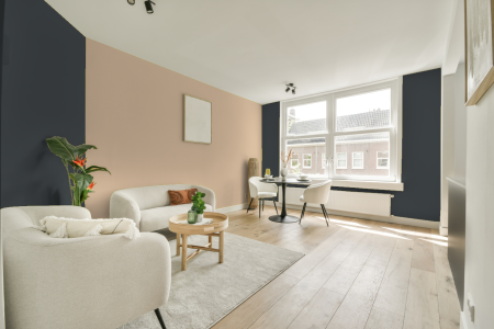 apartement met de kleur 7505 op de muren