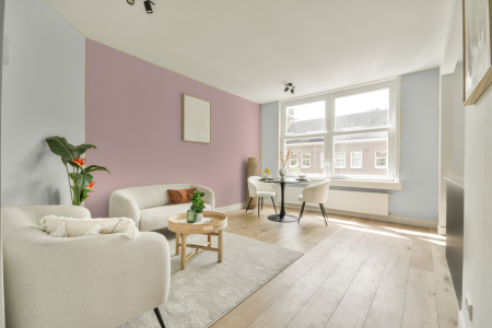 apartement met de kleur Delicate grey op de muren