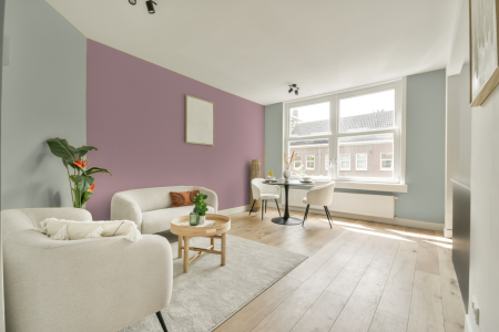 apartement met de kleur Gentle tundra op de muren