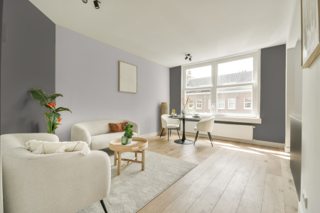 apartement met de kleur Mild grey op de muren