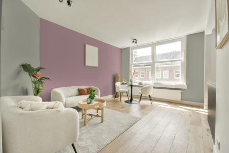 apartement met de kleur Subtle tundra op de muren