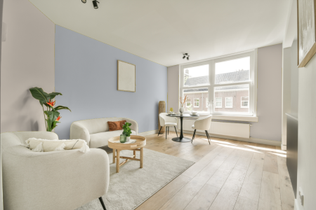 apartement met de kleur 2036 op de muren