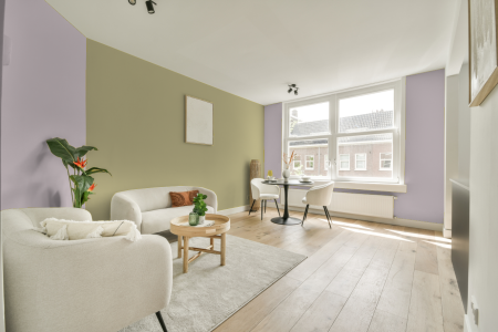 apartement met de kleur Gn 100-12 op de muren