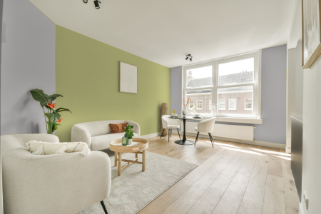 apartement met de kleur Gn 110-13 op de muren