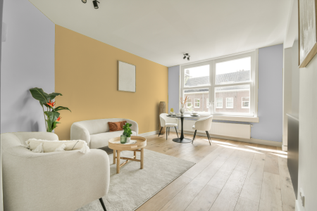 apartement met de kleur S 0502-r50b op de muren