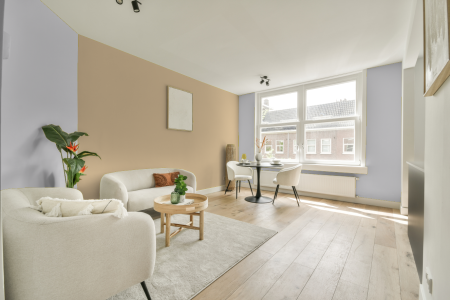 apartement met de kleur S 0505-r50b op de muren