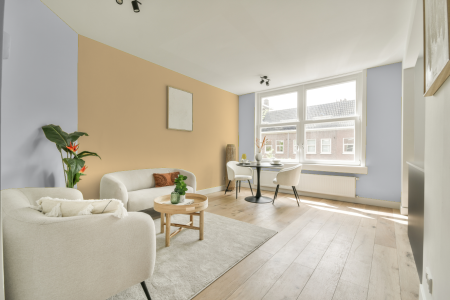 apartement met de kleur S 0505-r60b op de muren